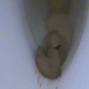 A woman straddles a toilet and takes a nice-sized shit. Next, we get to see the finished product in the toilet. Over 2 minutes.